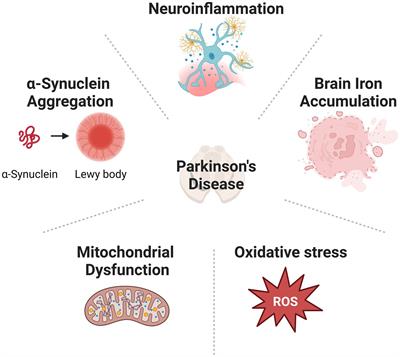 Research progress on the cannabinoid type-2 receptor and Parkinson’s disease